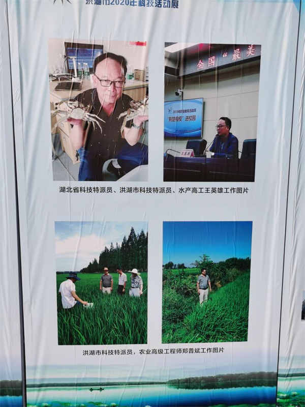 图片3.JPG